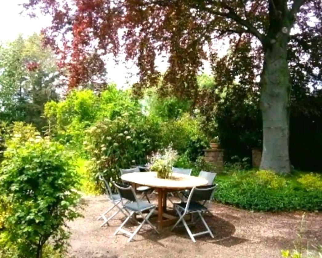 Ferienhaus Dr. Mueller Meißen Eksteriør billede