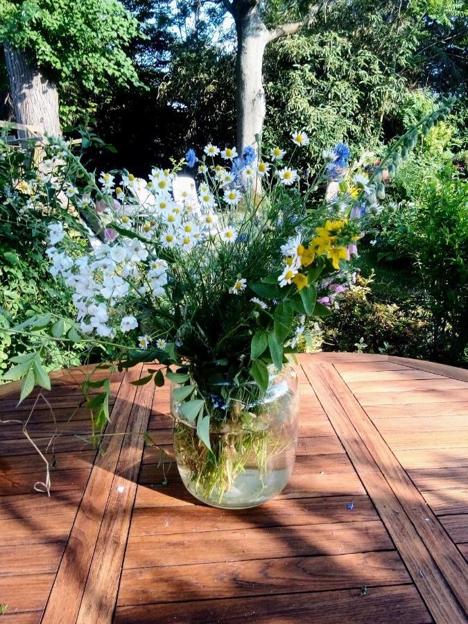 Ferienhaus Dr. Mueller Meißen Eksteriør billede